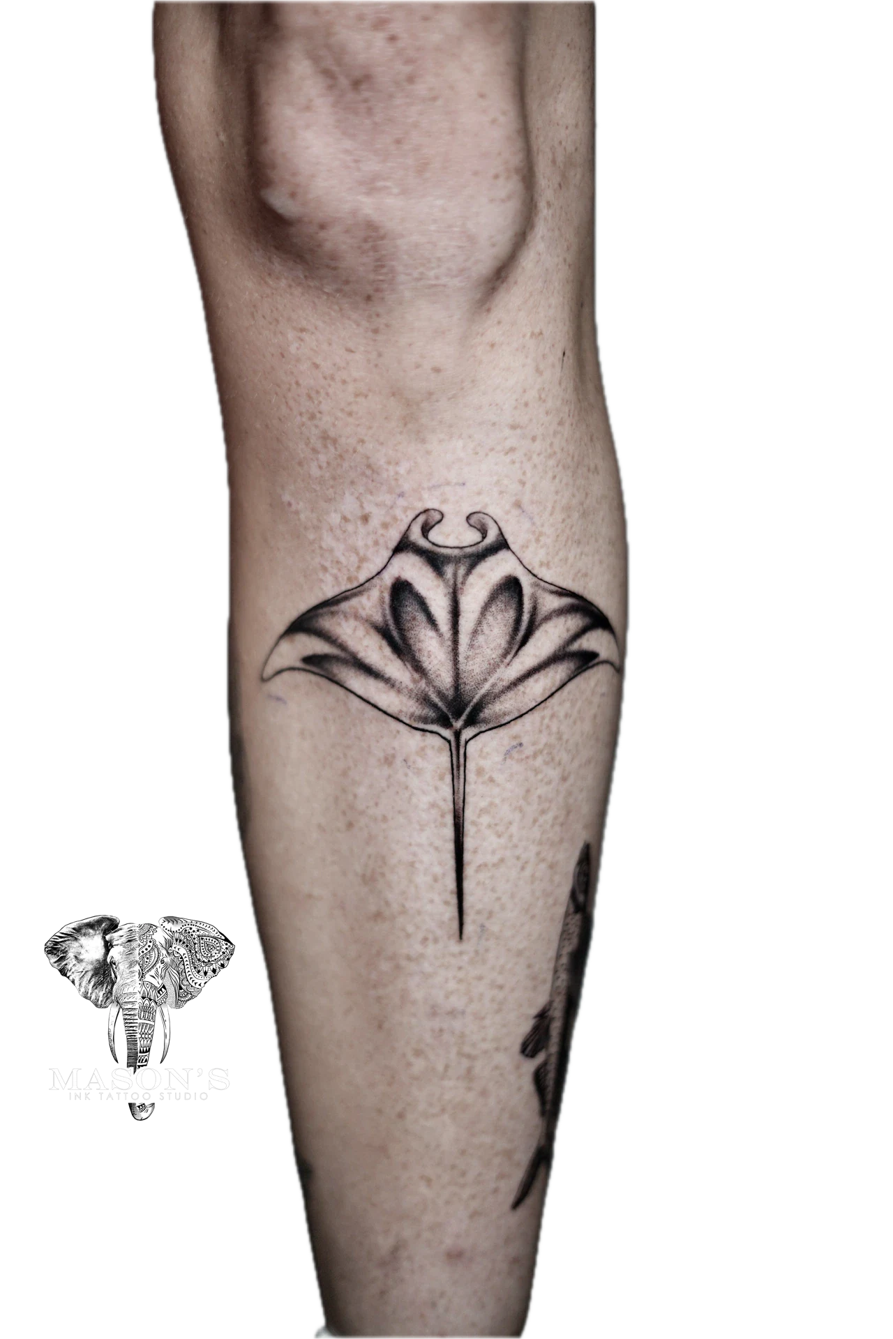 Black and Grey Manta Fish Tattoo by Mason's Ink Tattoo Studio, Bali
