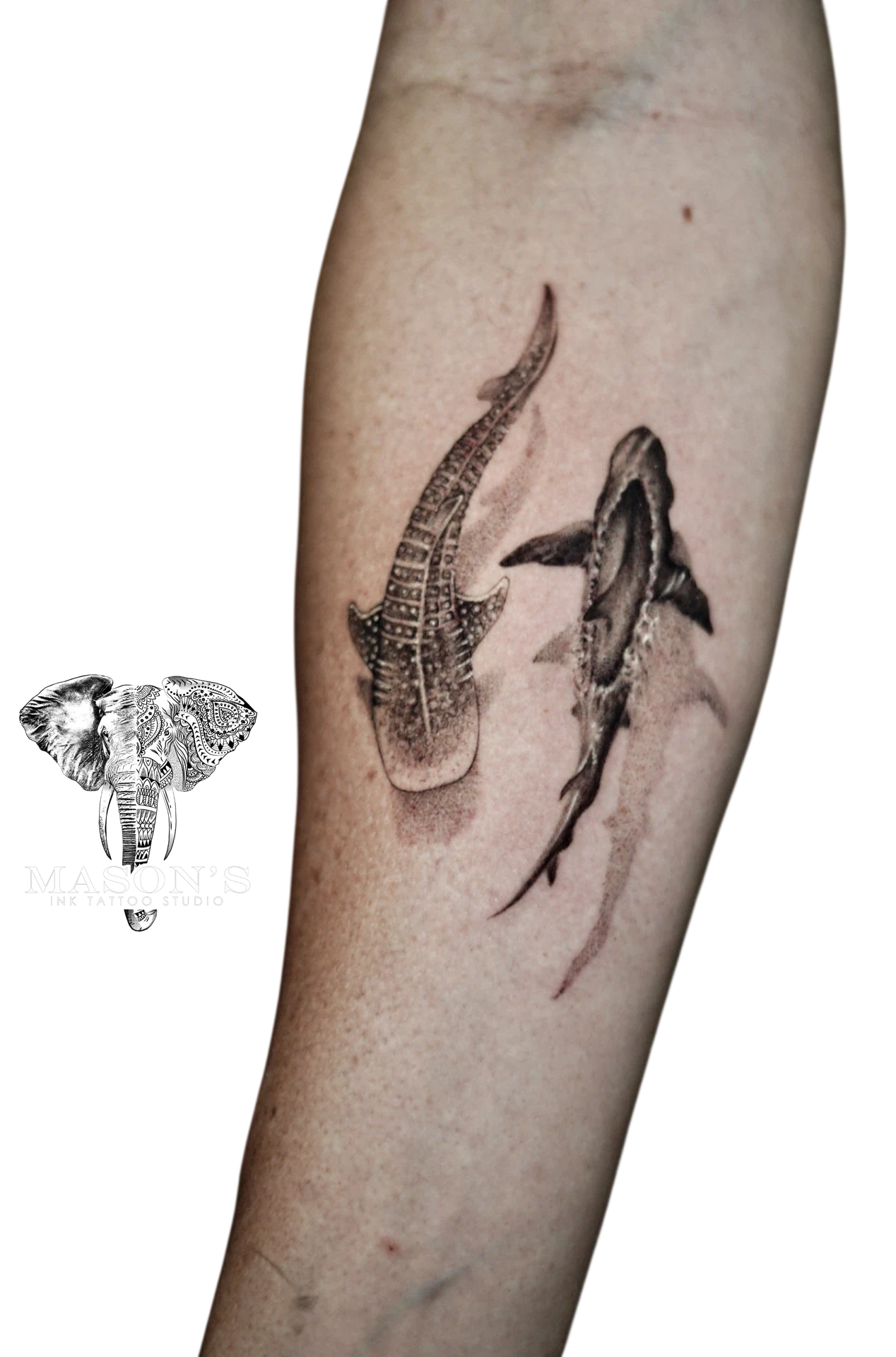 Black and Grey Sharks Tattoo by Mason's Ink Tattoo Studio, Bali