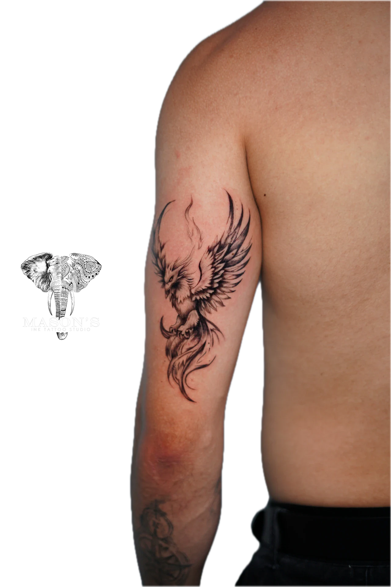 Black and Grey Phoenix Tattoo Design: a detailed black and grey phoenix on the upper arm