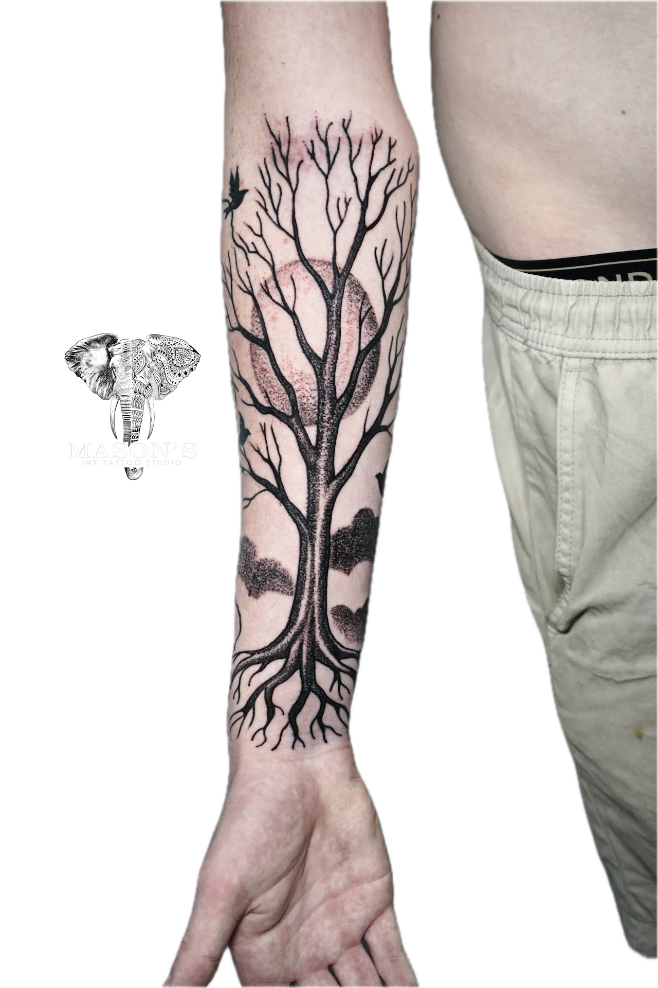 Black Work Tree Tattoo Design: a large black and grey tree tattoo with roots and a bird on a forearm