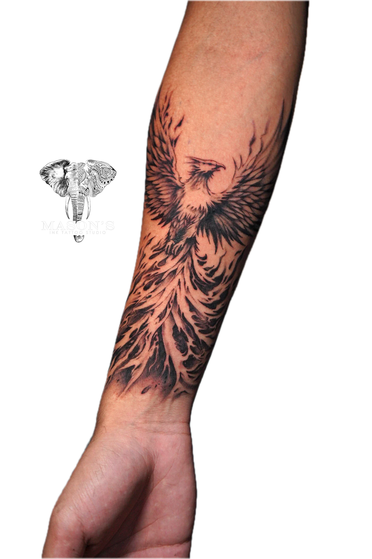 Black Work Phoenix Tattoo Design: a large black and grey phoenix rising from flames on a forearm