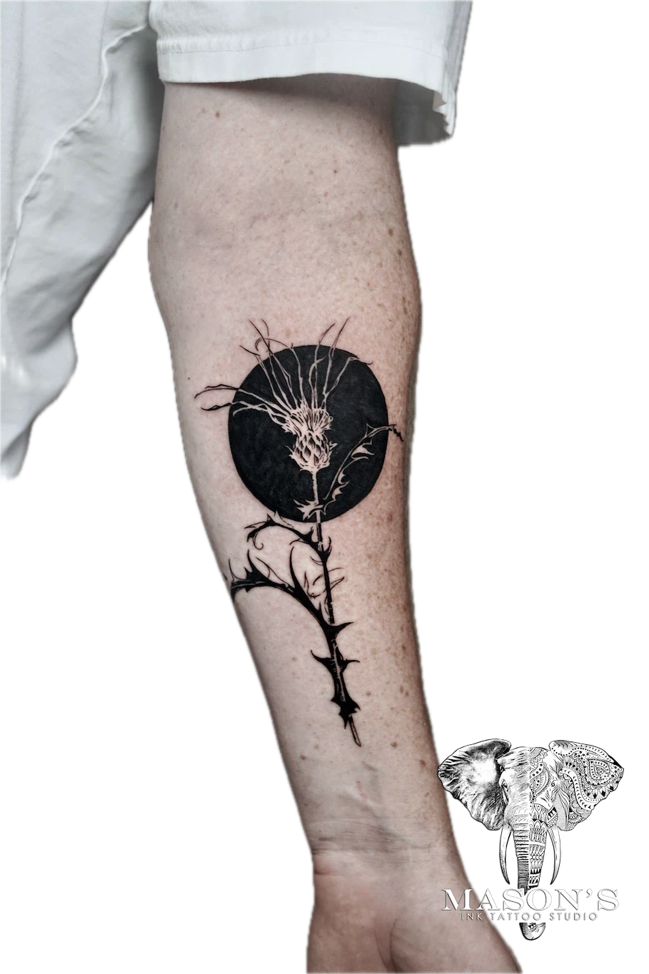 Blackwork Tattoo Design: a black and grey thistle with thorns on a calf