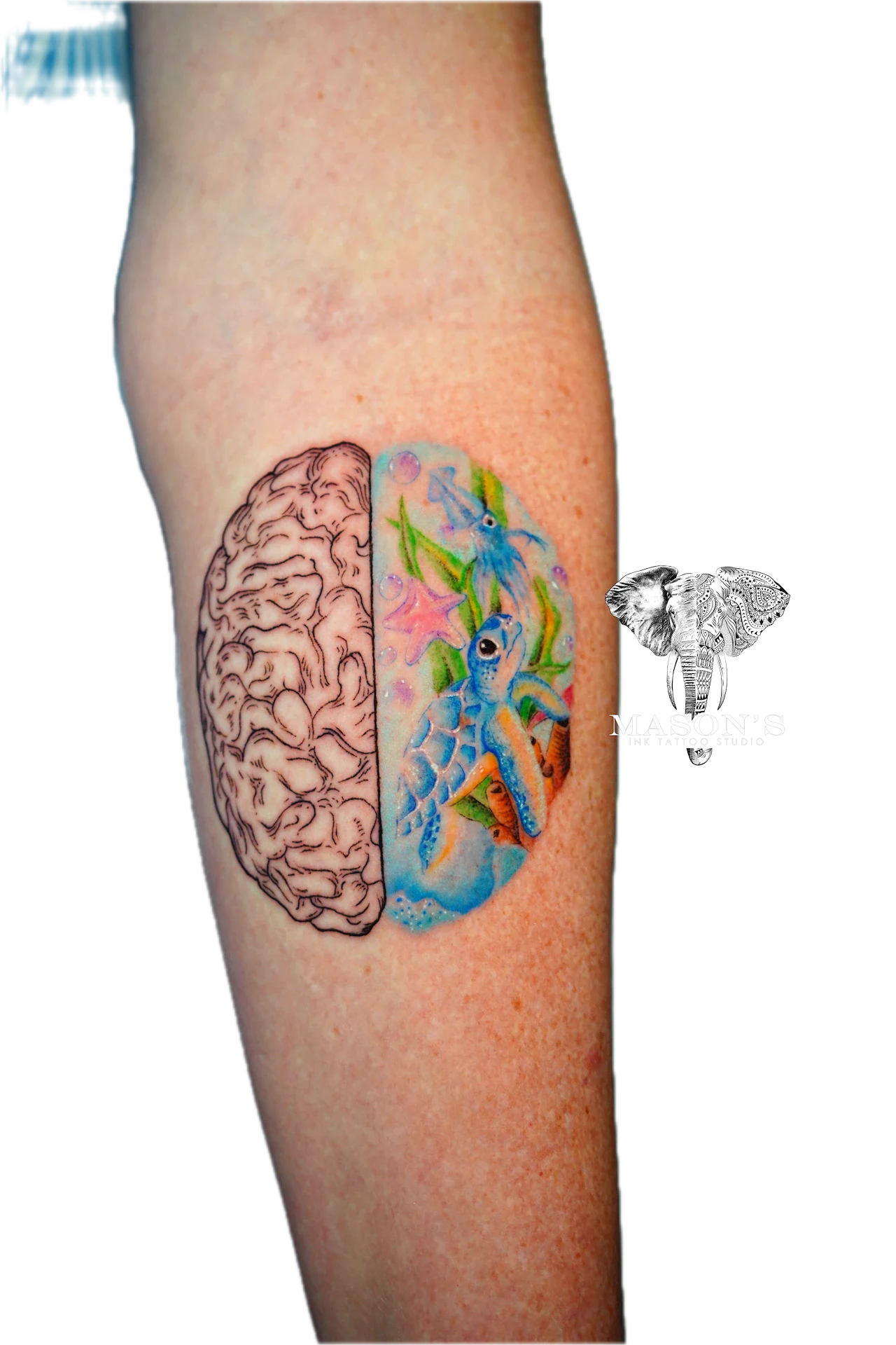 Color Tattoo Style Brain and Earth Design: a brain and peacock tattoo on the calf