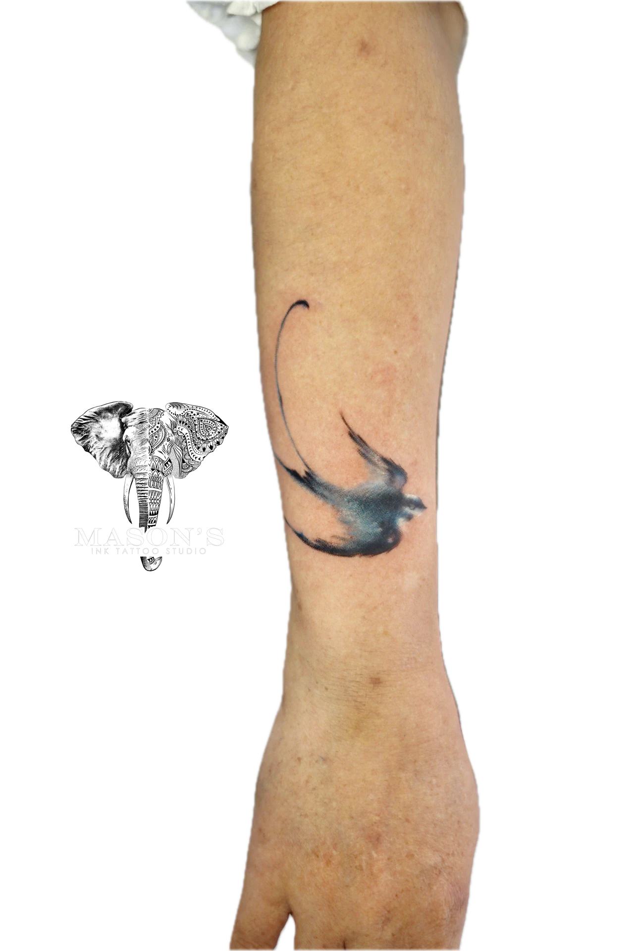 Color Walet Bird Tattoo by Mason's Ink Tattoo Studio, Bali