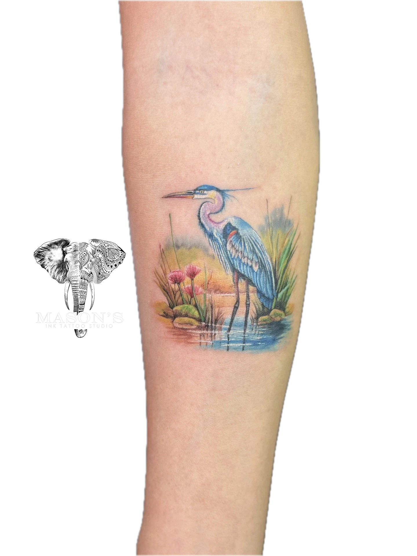 Color Bird Tattoo Design: a pair of cranes standing in a serene water scene