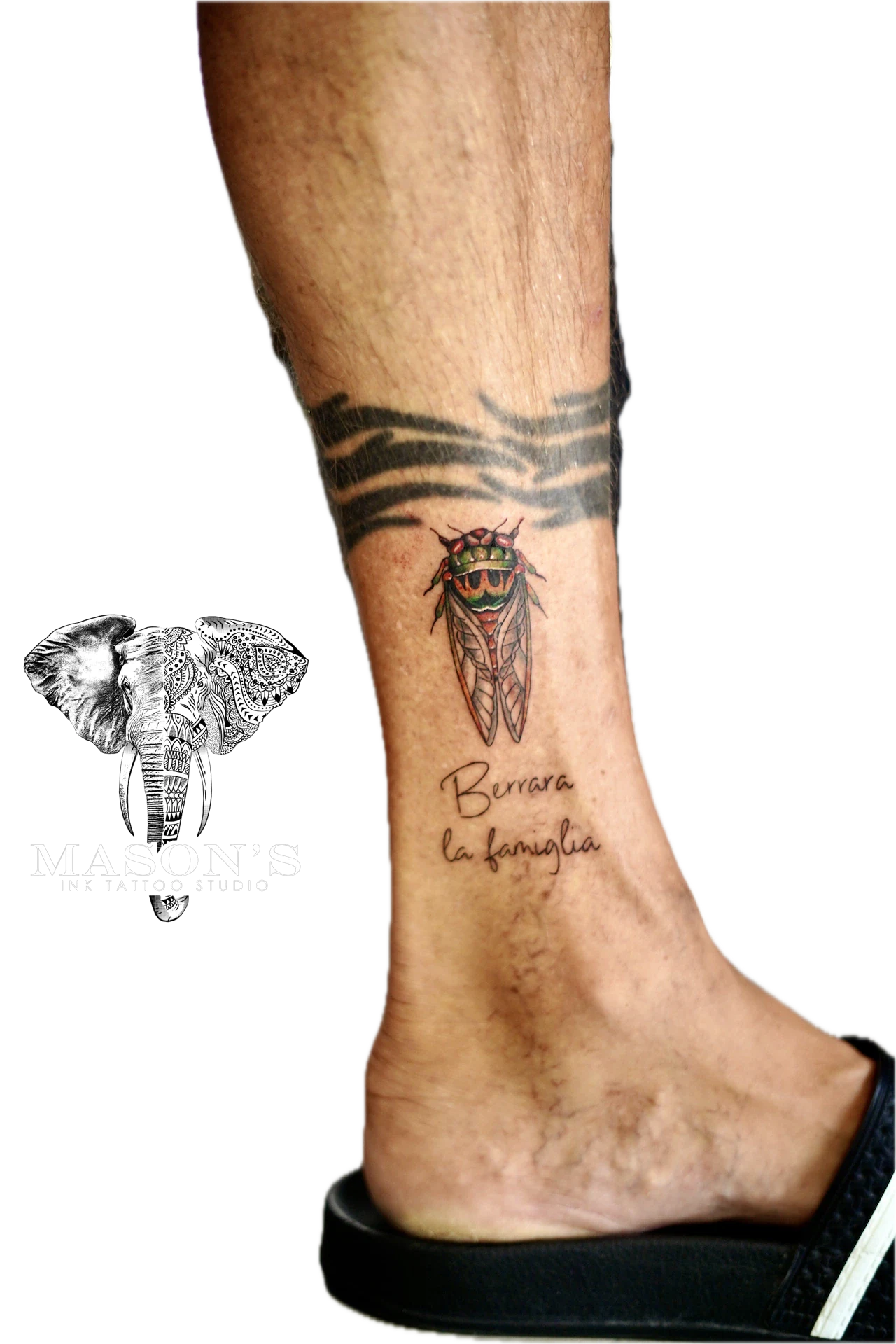 Neo Traditional Color Tattoo Insect by Mason's Ink Tattoo Studio, Bali