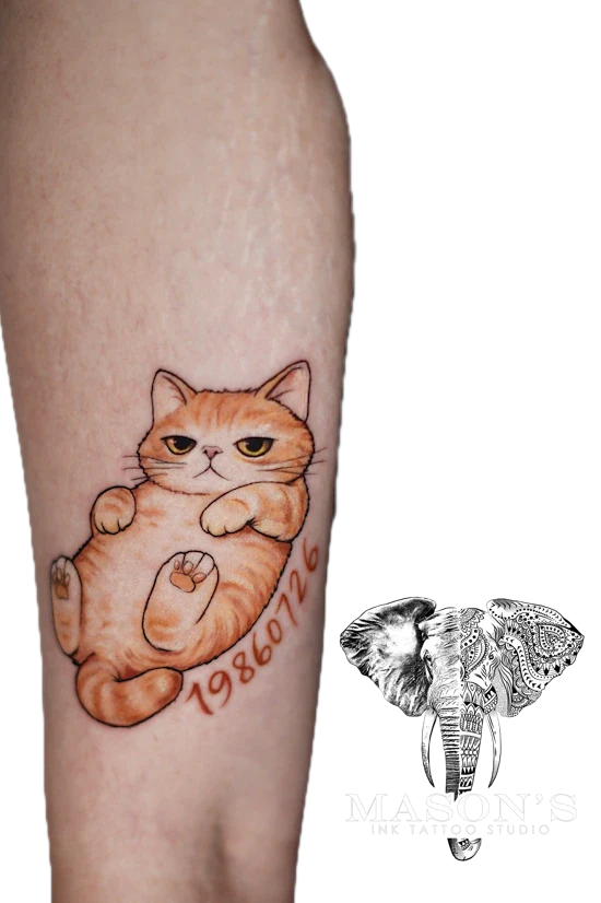 Realism Color Tattoo Style Cat and Script by Mason's Ink Tattoo Studio, Bali