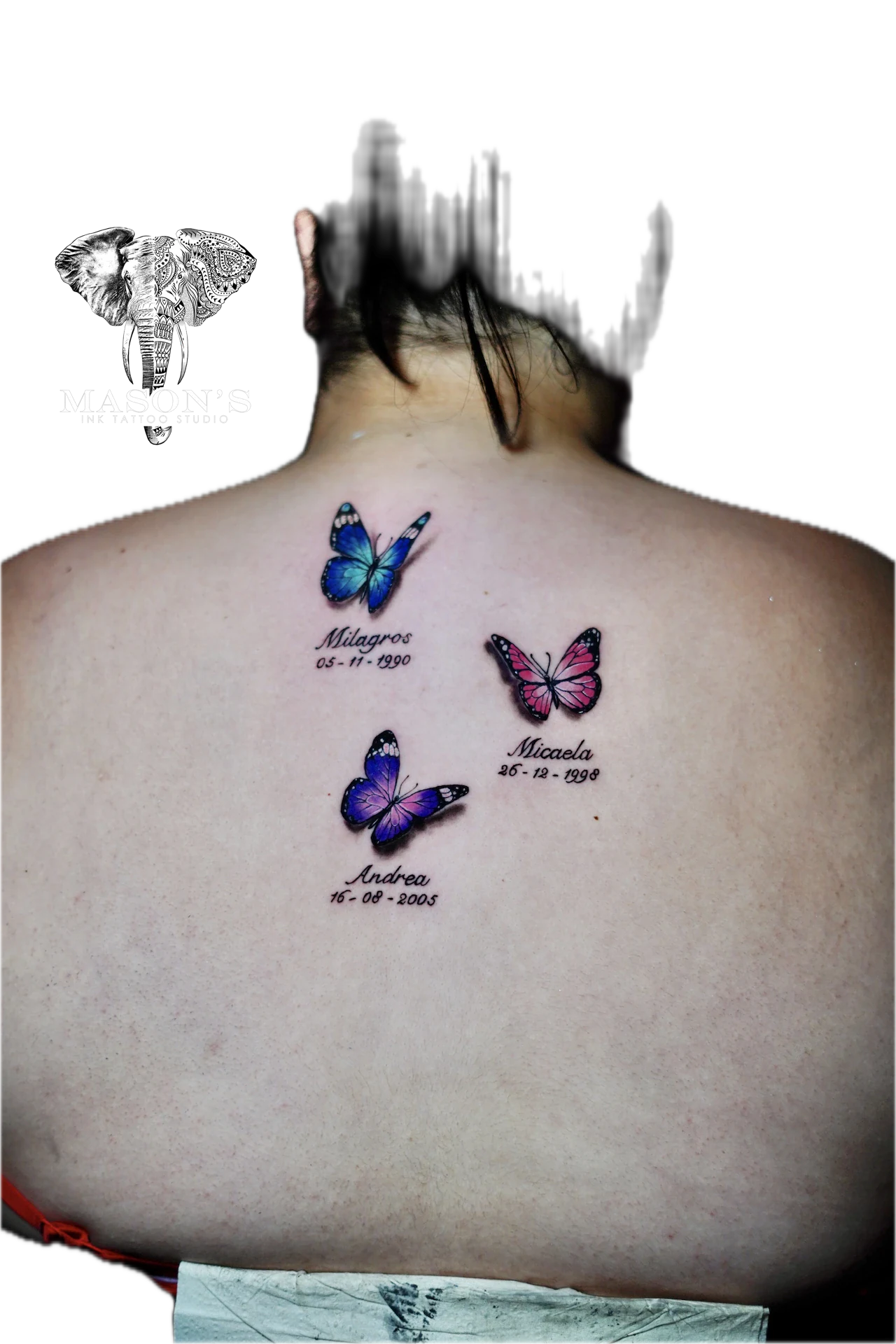 Realistic Color Butterfly 3d ver tattoo by Mason's Ink Tattoo Studio, Bali