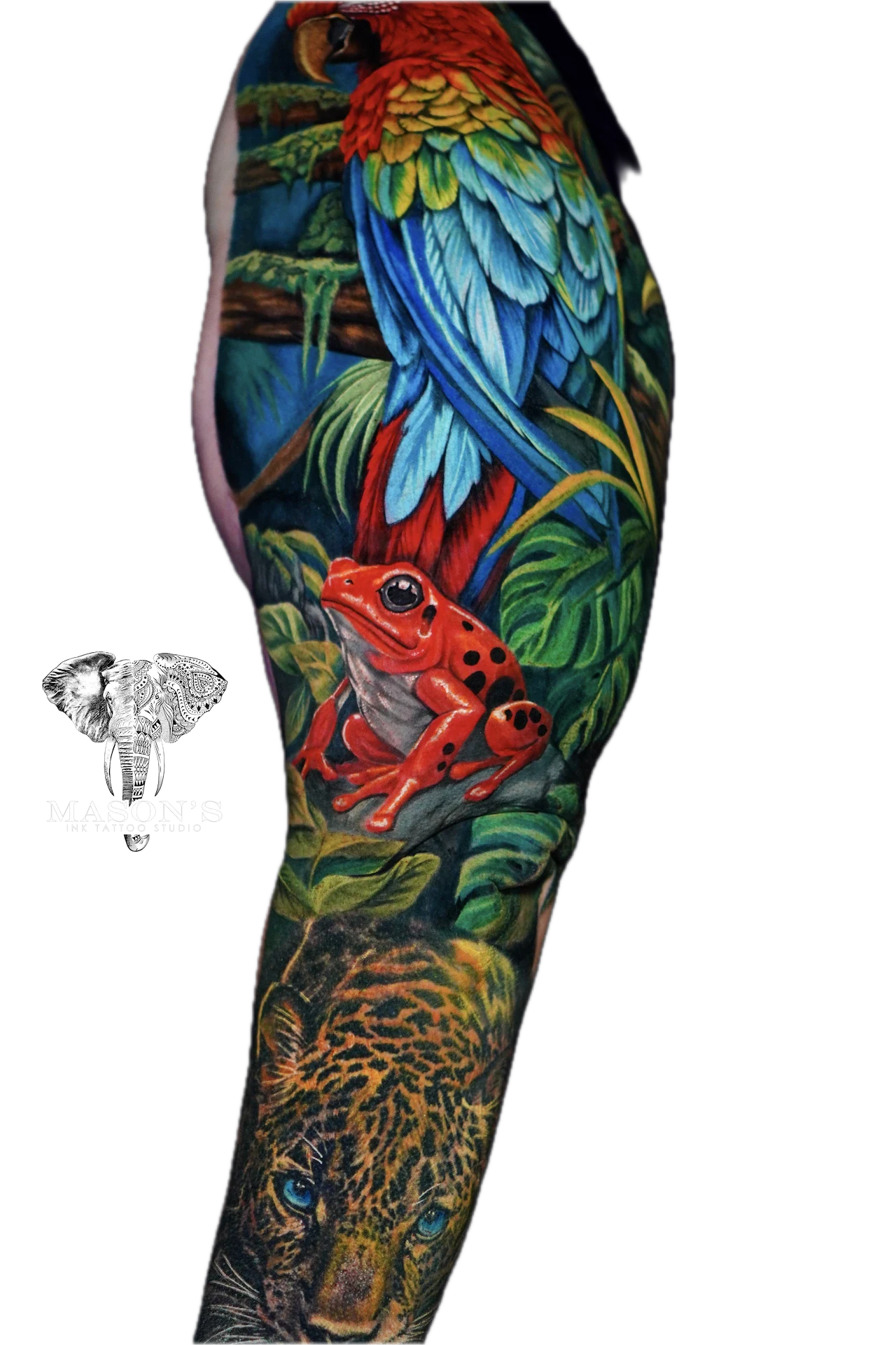 Colored Realism Parrot and Frog Tattoo Design: Vibrant jungle scene with parrot, frog, and leopard on a full sleeve