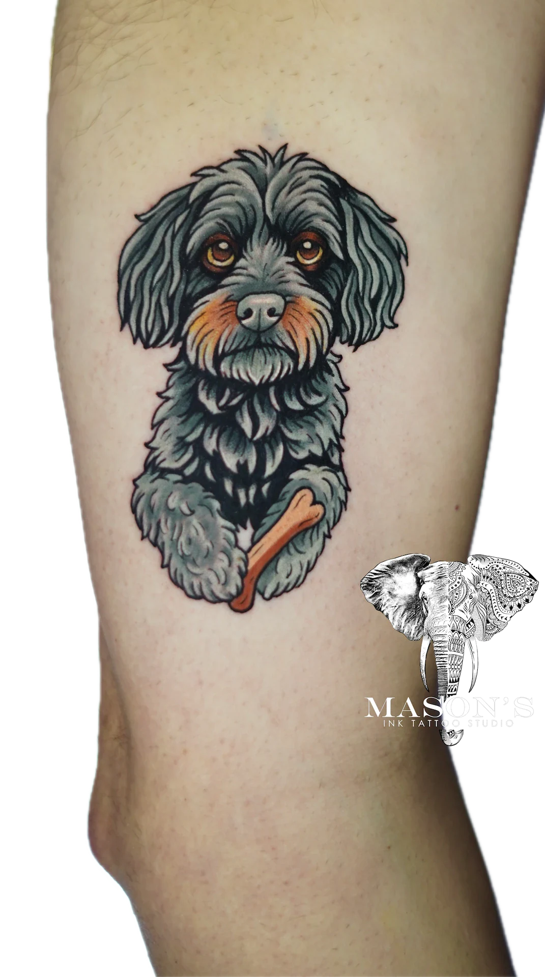 Color Dog Pet tattoo by Mason's Ink Tattoo Studio, Bali