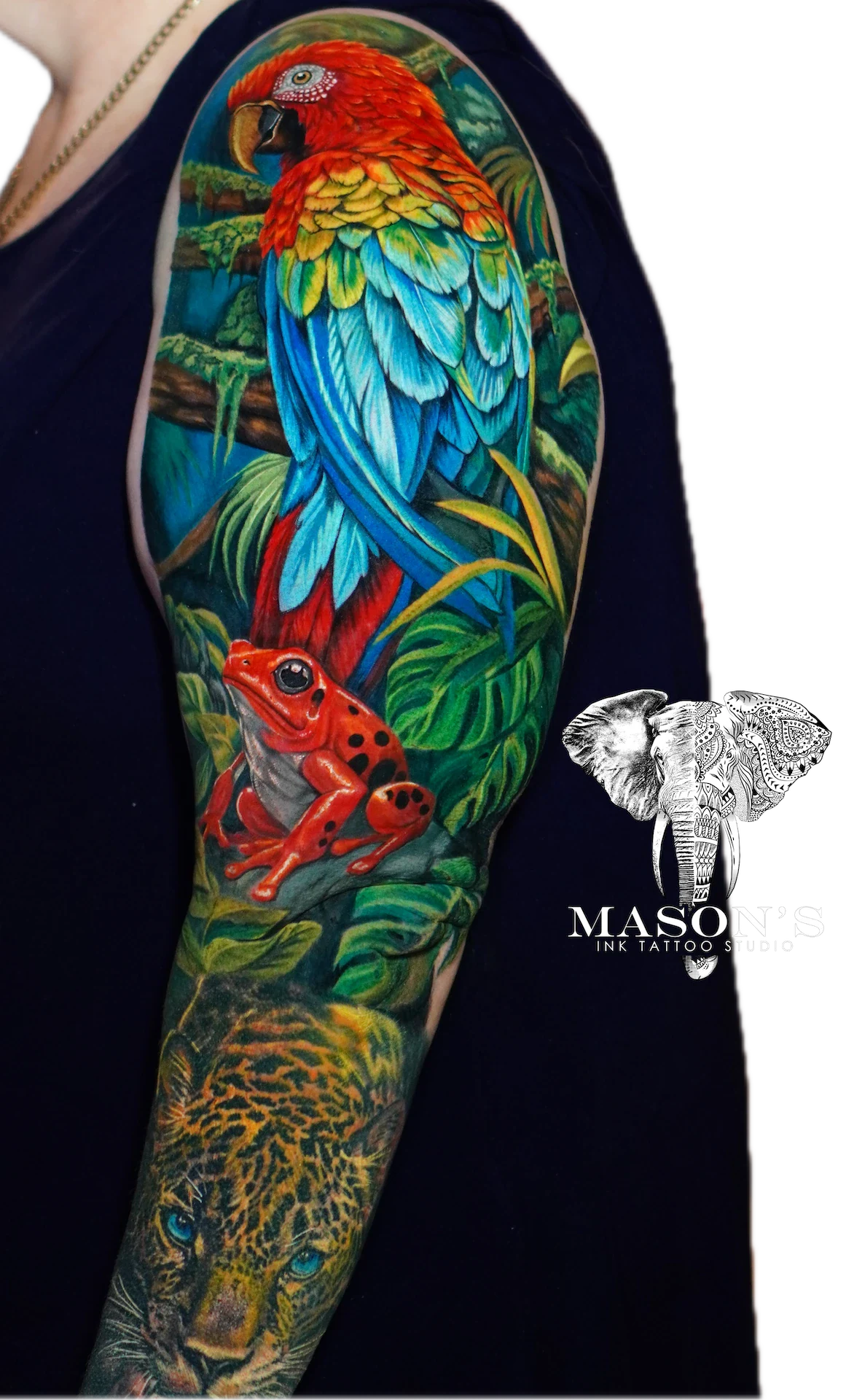 Color Jungle Frog and Parrot tattoo by Mason's Ink Tattoo Studio, Bali