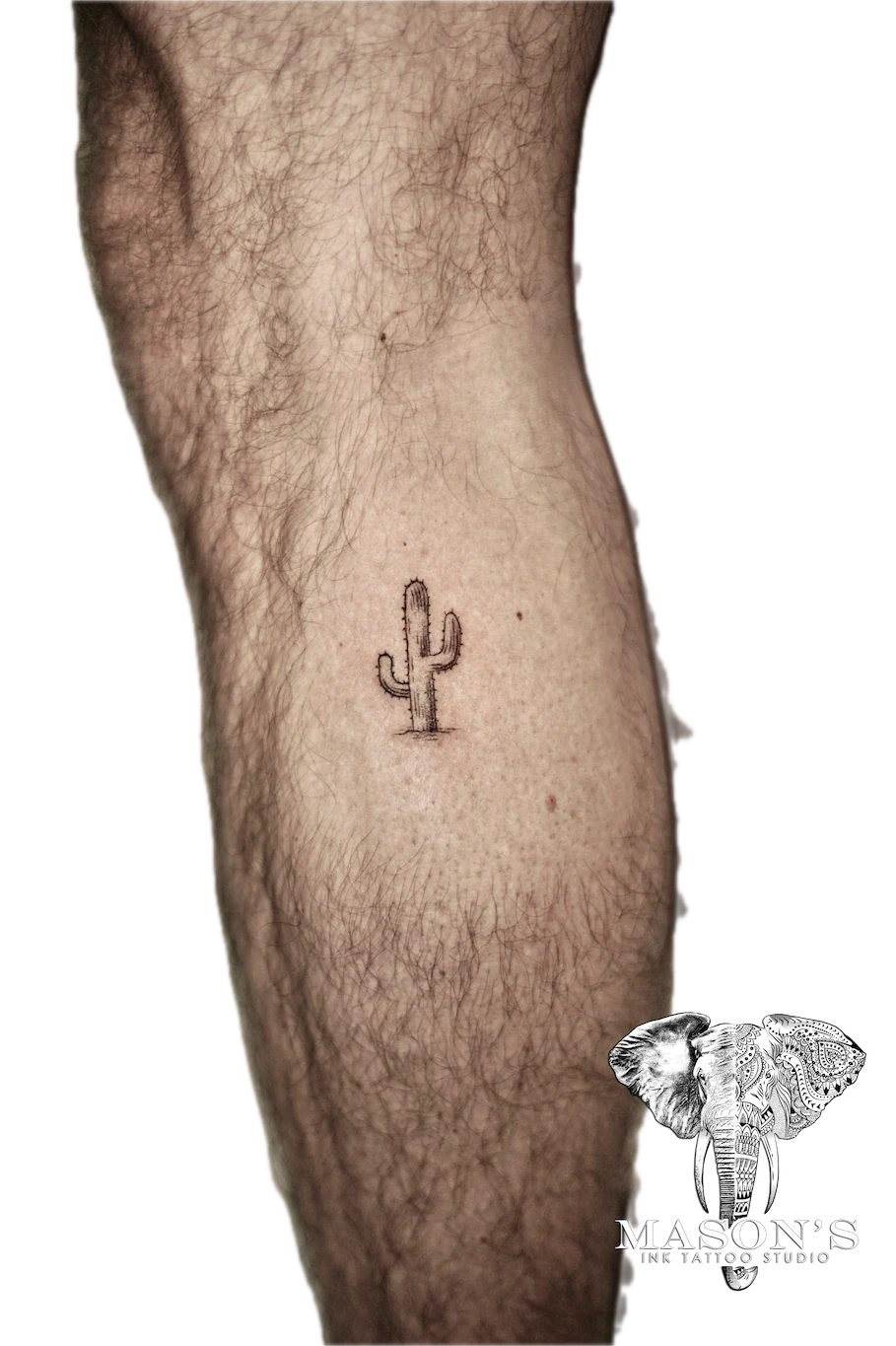Fine Line Cactus Tattoo Design - Fineline tattoo by Mason's Ink Tattoo Studio, Bali