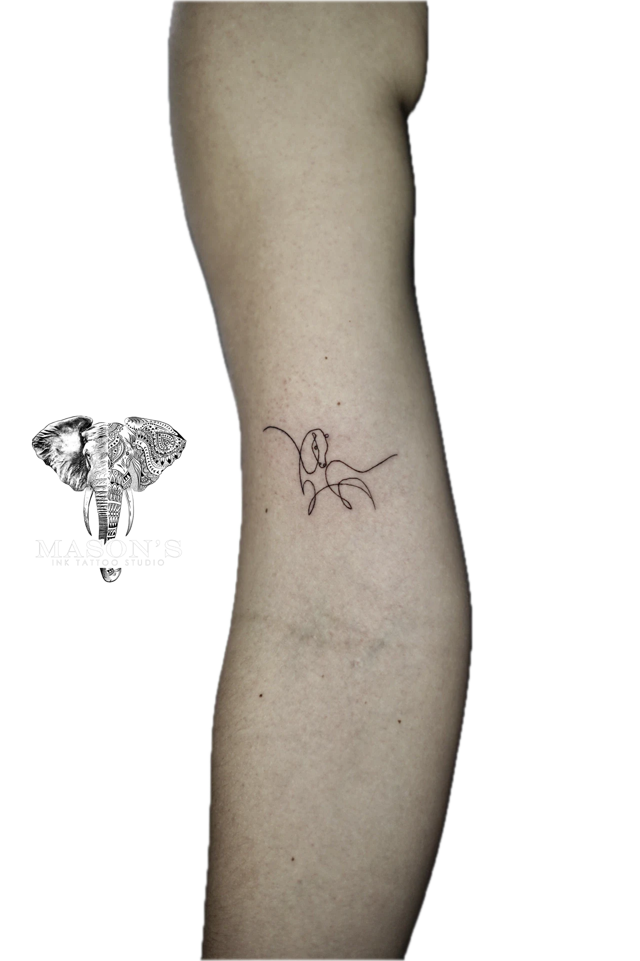 Fine Line Horse Tattoo by Mason's Ink Tattoo Studio, Bali