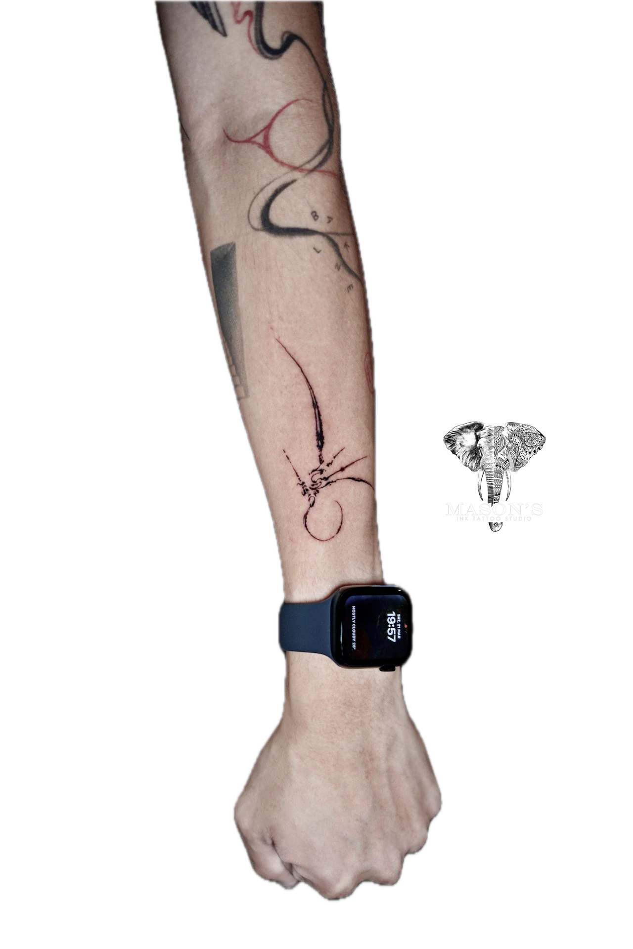 Fineline Tattoo Design: a minimal spider web tattoo on the forearm
