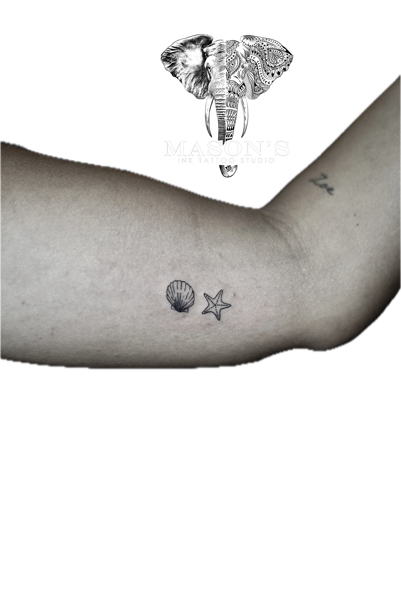 Fine Line Starfish and Clam tattoo by Mason's Ink Tattoo Studio, Bali
