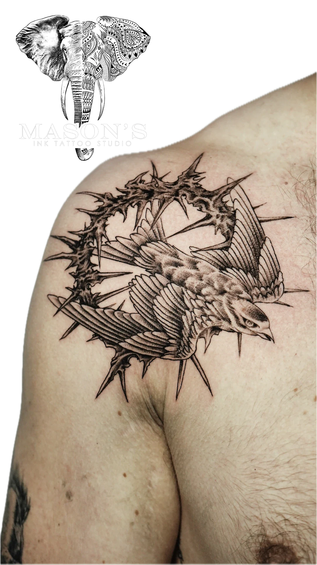 Neo Traditional Tattoo Design: a bird head with thorns and feathers on the shoulder