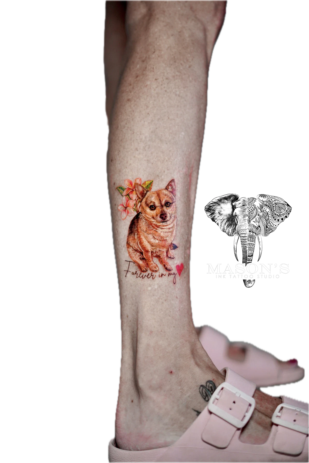 Portrait Color Beloved Pet Tattoo by Mason's Ink Tattoo Studio, Bali