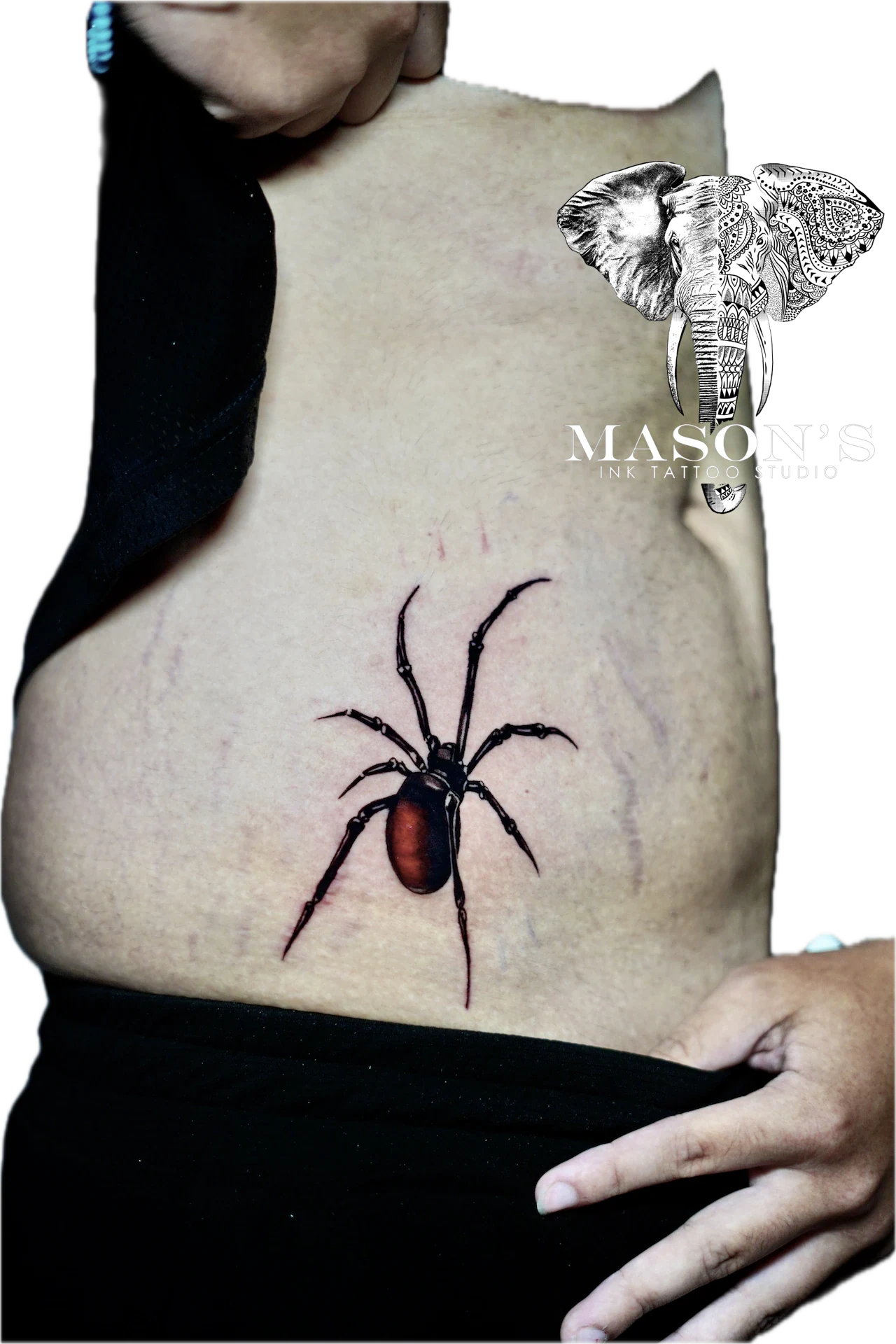 Realism Spider tattoo by Mason's Ink Tattoo Studio, Bali