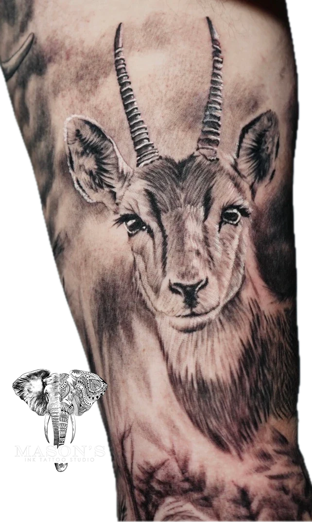 Deer Antelope Realism tattoo by Mason's Ink Tattoo Studio, Bali