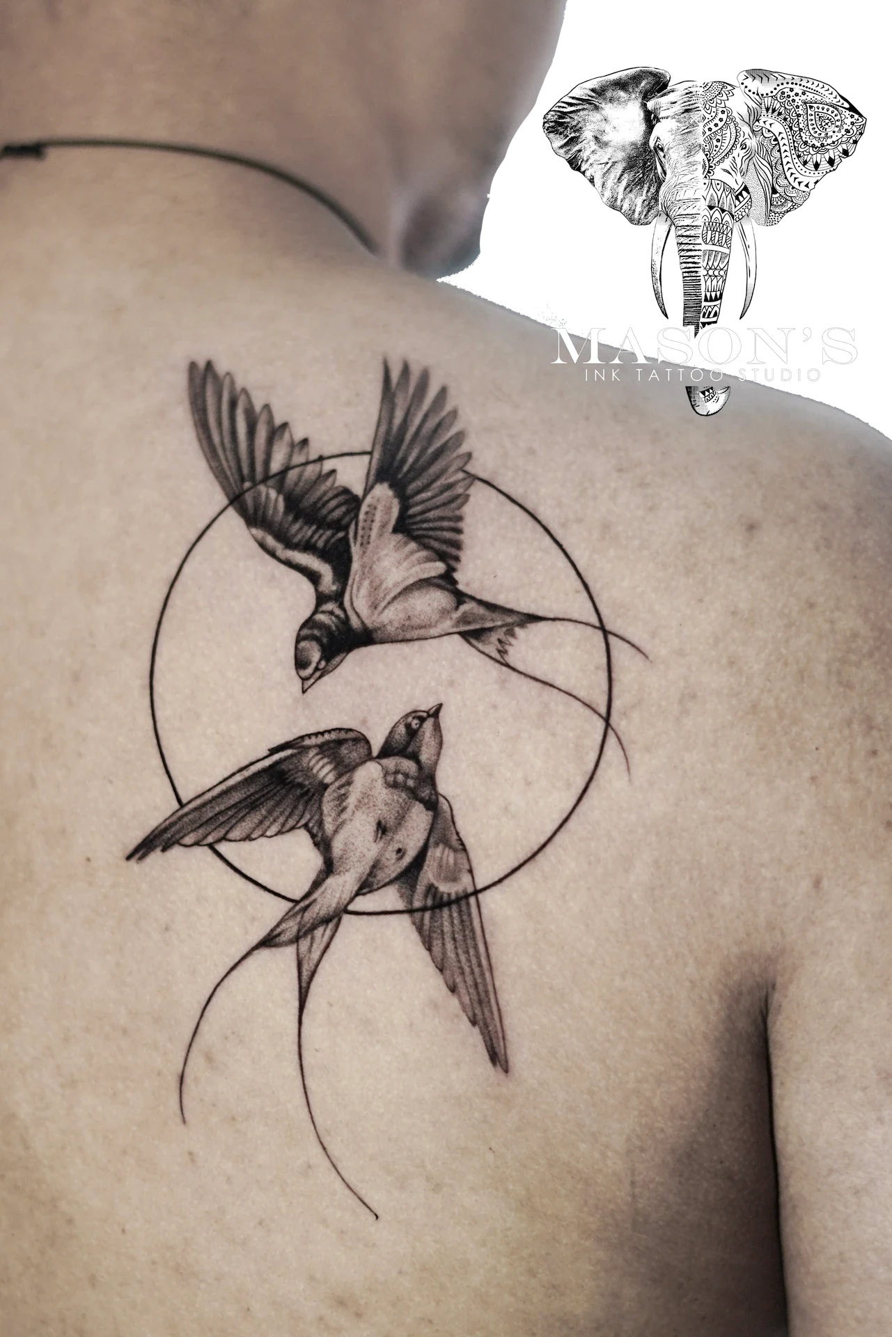 Realism Birds Tattoo Design: Two birds in flight within a circular geometric pattern