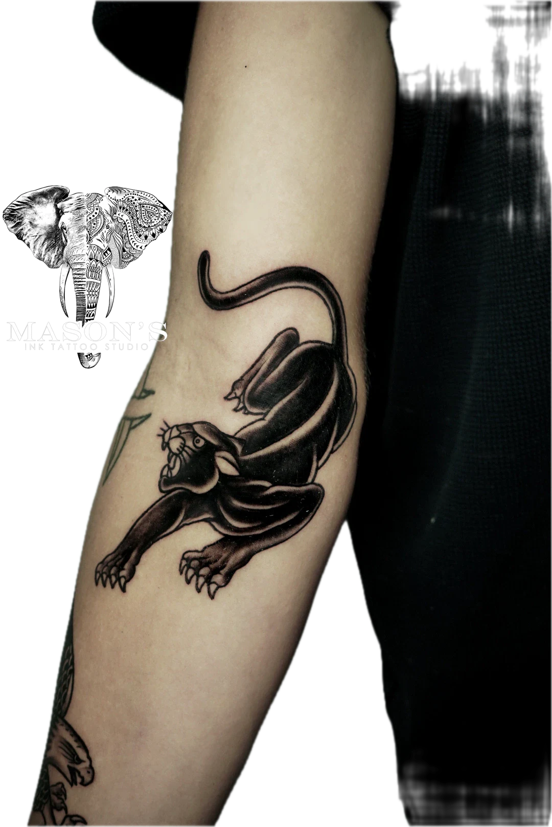 Traditional Black Panther Tattoo Design: a black and grey panther tattoo on a forearm