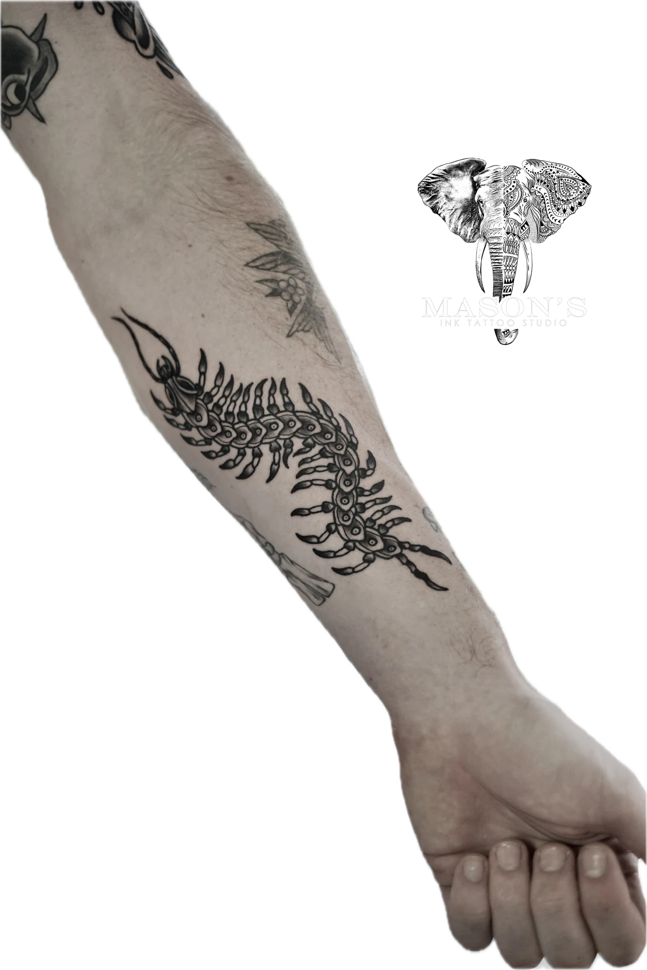 Traditional Large Centipede on Hand tattoo by Mason's Ink Tattoo Studio, Bali